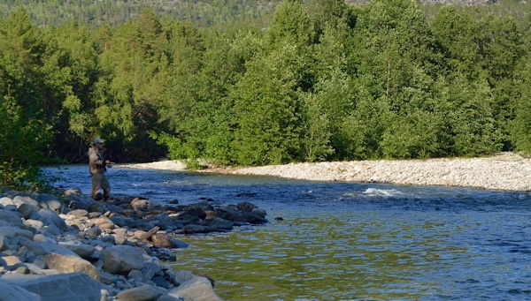 Ole fisker efter laks i Kvnangselva