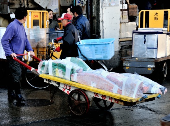 Tokyo fish market