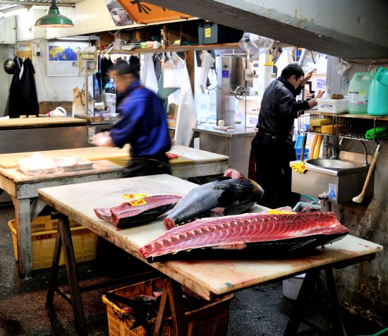 Tokyo fish market