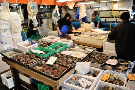 Tokyo fish market