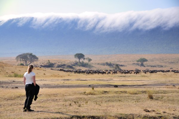 Freja i Ngorongoro